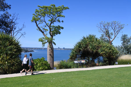 PERTH - MAR 23 2020:Active senior Australian couple hiking in Kings Park and Botanic Garden.Kings Park is a major tourist attraction in Perth Western, Australia.のeditorial素材