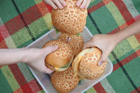 Point of view of family hands holding fresh sandwiches over a picnic mat.の写真素材