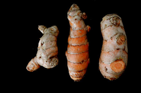 Flat lay of three fresh organic Turmeric rhizome roots isolated on black background.