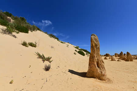 Landscape of the Pinnacle desert limestone formations near Cervantes in Western Australia.