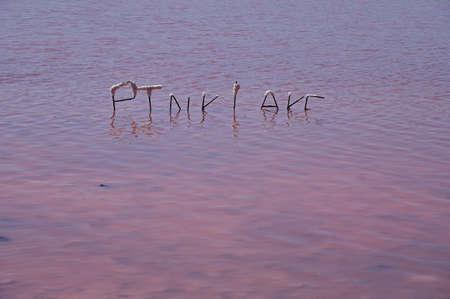 Sinking sign in pink lake at Port Gregory Western Australia