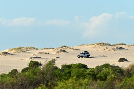 KALBARRI, WA - APR 15 2022:4WD vehicle driving on sand dune near Kalbarri Western Australia. There were 20.1 million registered motor vehicles as at 31 January 2021 in Australia.のeditorial素材