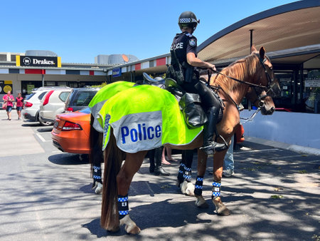 Chinchilla, Qld - Feb 15 2023:Australian mounted policewoman sitting on a police horse in a parking lot . Women now make up approximately 19% of the Force and participate in all areas of policing.のeditorial素材