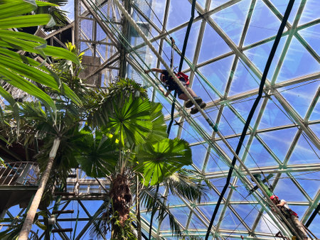 CAIRNS, QLD - MAY 28 2023:Cairns ZOOM and Wildlife Dome in Queensland, Australia.The Cairns ZOOM is the world's first Challenge Ropes Course in a wildlife park.のeditorial素材