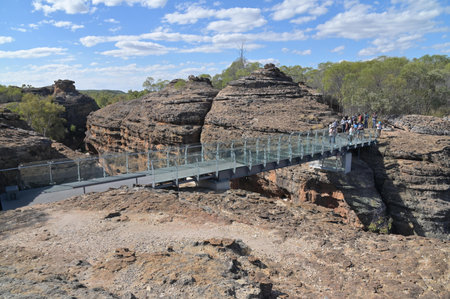 COBBOLD GORGE, QLD - JULY 25 2023:Touris group cross over a bridge on a hike in Cobbold Gorge. Cobbold Gorge  is a natural wonder of Queensland's outback Savannah, and the youngest gorge in Australia.のeditorial素材