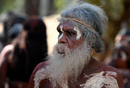 LAURA,QLD - JULY 08 2023:Indigenous Australians men on ceremonial dance in Laura Quinkan Dance Festival Cape York Australia. Ceremonies combine dance, song, rituals, body decorations and costumesのeditorial素材