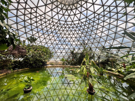 BRISBANE - DEC 12 2023:Australian trees and plants grow inside Brisbane Botanic Gardens Tropical Display Dome at Mt Coot-tha Queensland Australia.The gardens receive over a million visitors annually.のeditorial素材