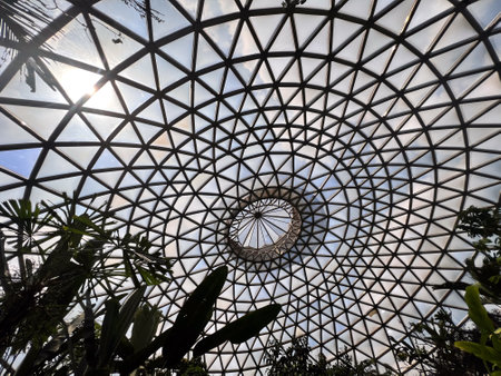 BRISBANE - DEC 12 2023:Australian trees and plants grow inside Brisbane Botanic Gardens Tropical Display Dome at Mt Coot-tha Queensland Australia.The gardens receive over a million visitors annually.のeditorial素材