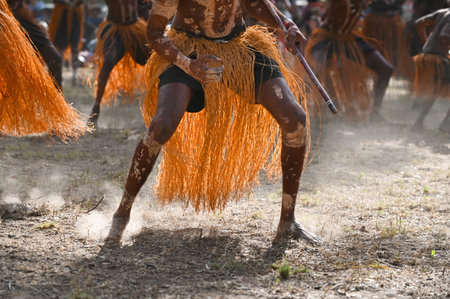 LAURA,QLD - JULY 08 2023:Indigenous Australians men on ceremonial dance in Laura Quinkan Dance Festival Cape York Australia. Ceremonies combine dance, song, rituals, body decorations and costumesのeditorial素材