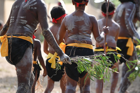 LAURA,QLD - JULY 08 2023:Indigenous Australians men on ceremonial dance in Laura Quinkan Dance Festival Cape York Australia. Ceremonies combine dance, song, rituals, body decorations and costumesのeditorial素材