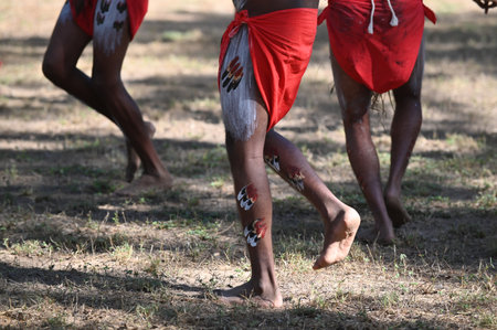 LAURA,QLD - JULY 08 2023:Indigenous Australians men on ceremonial dance in Laura Quinkan Dance Festival Cape York Australia. Ceremonies combine dance, song, rituals, body decorations and costumesのeditorial素材