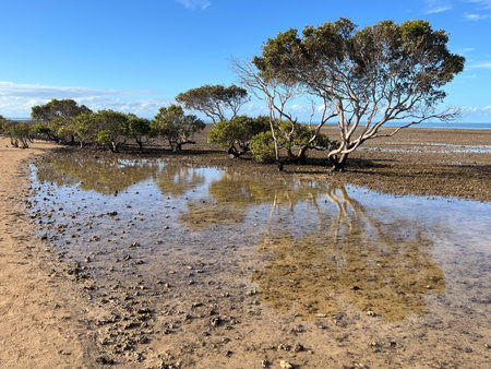 Landscape view of King Island Wellington Point Brisbane Queensland Australia