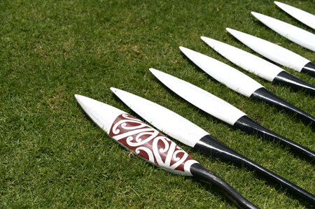Large Maori waka hoe Maori war canoe paddles on green grass background