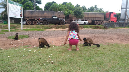 Little girl playing with a monkey in the park, Sri Lanka.の写真素材