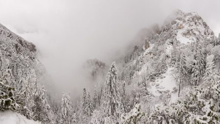 winter landscapes over the mountains and forestの写真素材