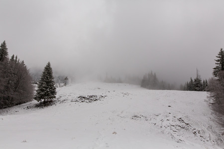 winter landscapes over the mountains and forestの写真素材