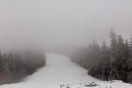 winter landscapes over the mountains and forestの写真素材