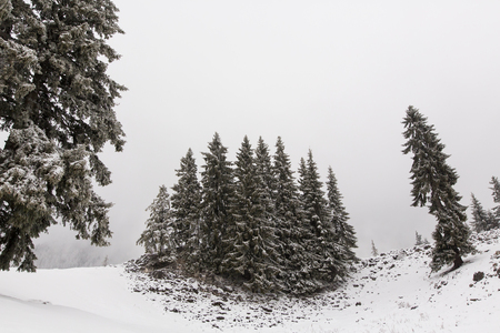 winter landscapes over the mountains and forestの写真素材
