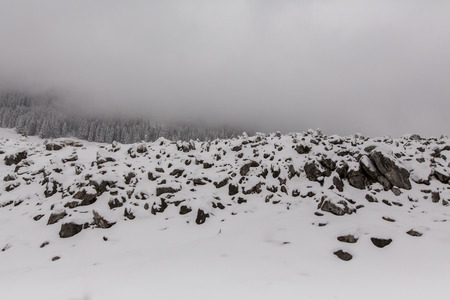 winter landscapes over the mountains and forestの写真素材