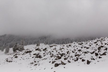 winter landscapes over the mountains and forestの写真素材