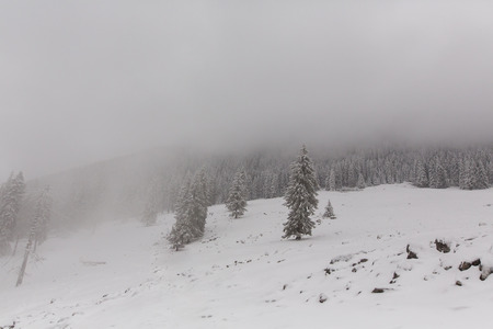 winter landscapes over the mountains and forestの写真素材
