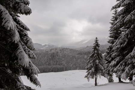 winter landscapes over the mountains and forestの写真素材