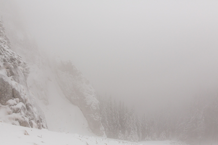 winter landscapes over the mountains and forestの写真素材