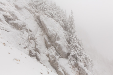 winter landscapes over the mountains and forestの写真素材