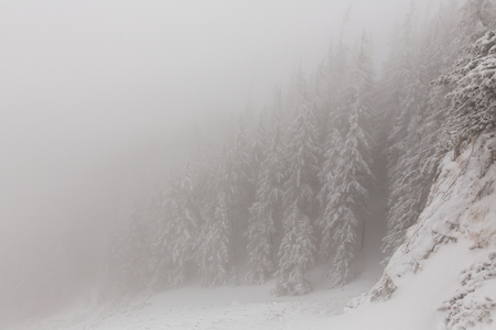 winter landscapes over the mountains and forestの写真素材