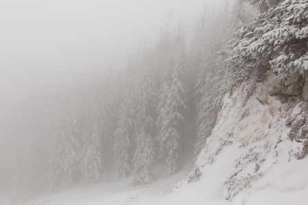 winter landscapes over the mountains and forestの写真素材
