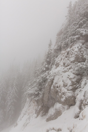 winter landscapes over the mountains and forestの写真素材