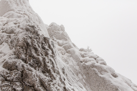 winter landscapes over the mountains and forestの写真素材