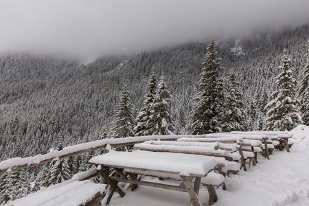 Mountain covered by snow, The Carpathian mountains, in Romaniaの写真素材