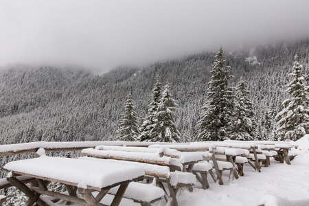 Mountain covered by snow, The Carpathian mountains, in Romaniaの写真素材