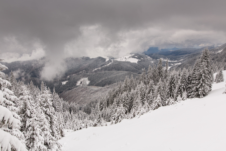 Mountain covered by snow, The Carpathian mountains, in Romaniaの写真素材
