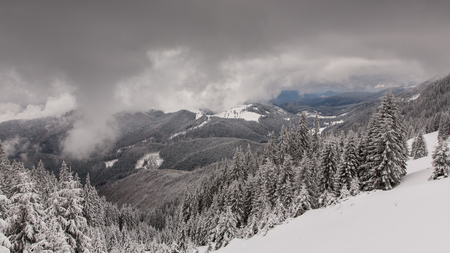 Mountain covered by snow, The Carpathian mountains, in Romaniaの写真素材