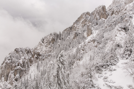 Mountain covered by snow, The Carpathian mountains, in Romaniaの写真素材