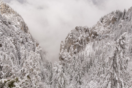 Mountain covered by snow, The Carpathian mountains, in Romaniaの写真素材