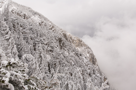 Mountain covered by snow, The Carpathian mountains, in Romaniaの写真素材