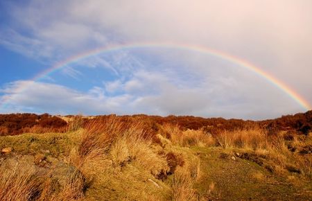 Rainbow over the heather hill in Wicklow Mountains, Irelandの写真素材