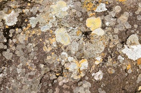 Stained wall textured backgroundの写真素材