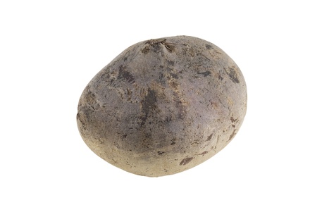 One fresh beetroot isotaled on white backgroundの写真素材