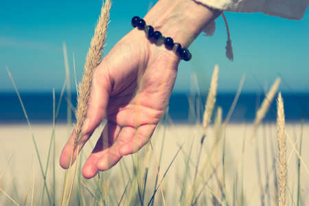 Woman's hand slide through dune grass in on sunny day on sea coast. Focus on pointing finger.の写真素材