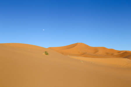 Sahara desertの写真素材