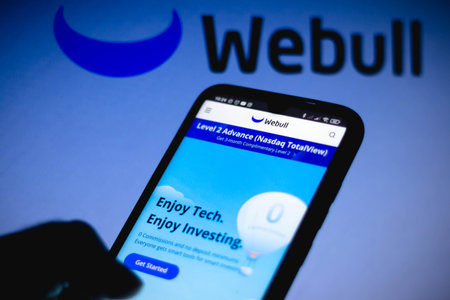 February 2, 2021, Brazil. In this photo illustration the Webull Financial logo seen displayed on a...