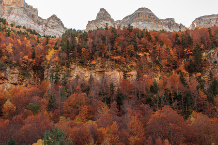 The Autumn in the Ordesa Valley (Ordesa National Park - Monte Perdido)の写真素材