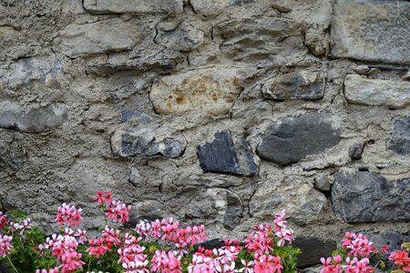 stone wall and purple flowersの写真素材