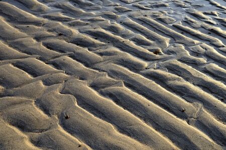 beachsの写真素材