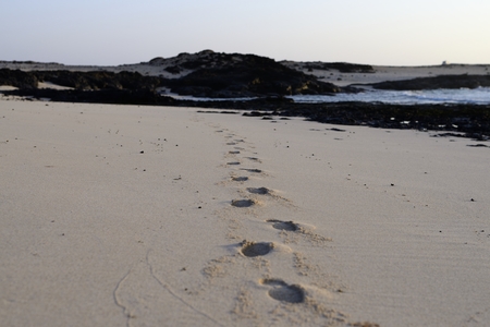 Footprints in the sand at sunsetの写真素材