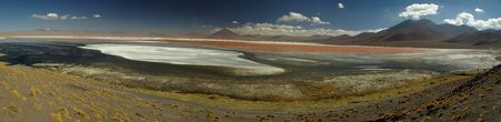 Panormama of a red lagoon with flamingos in Uyuni, Boliviaの写真素材